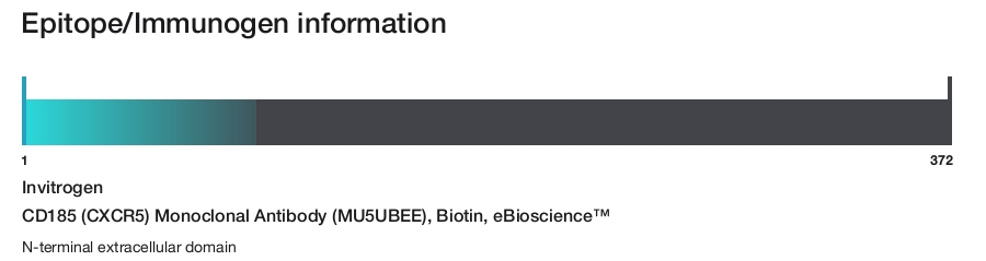 CD185 (CXCR5) Monoclonal Antibody (MU5UBEE), Biotin, eBioscience&trade;