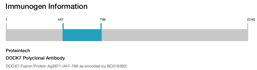 DOCK7 Polyclonal Antibody