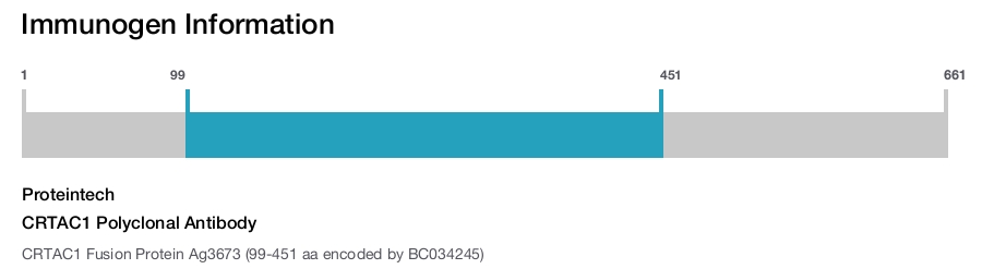 CRTAC1 Polyclonal Antibody