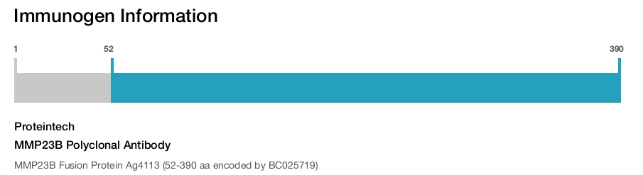 MMP23B Polyclonal Antibody