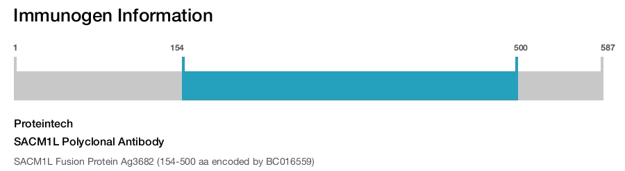 SACM1L Polyclonal Antibody