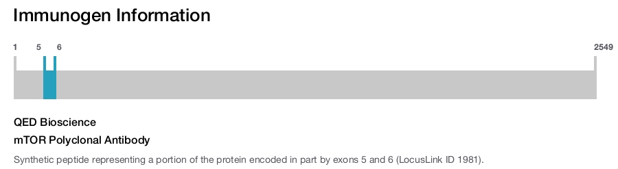 mTOR Polyclonal Antibody