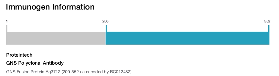 GNS Polyclonal Antibody