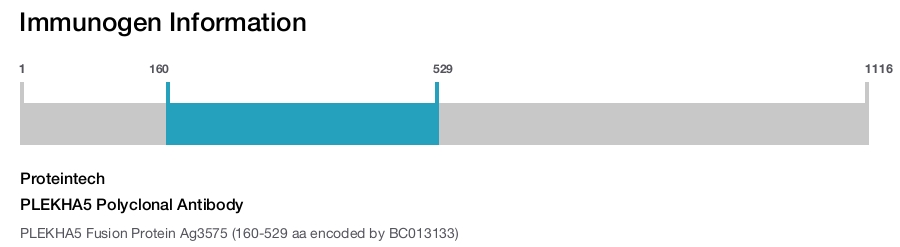 PLEKHA5 Polyclonal Antibody