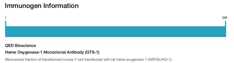 Heme Oxygenase-1 Monoclonal Antibody (GTS-1)