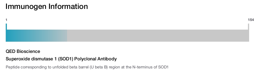 Superoxide dismutase 1 (SOD1) Polyclonal Antibody