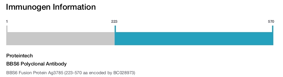 BBS6 Polyclonal Antibody