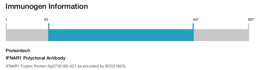 IFNAR1 Polyclonal Antibody
