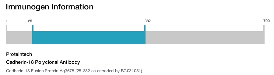 Cadherin-18 Polyclonal Antibody