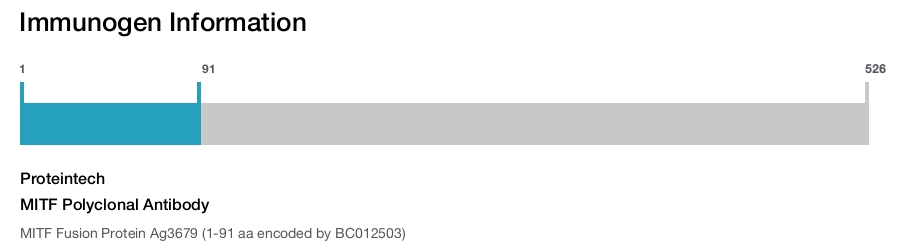 MITF Polyclonal Antibody
