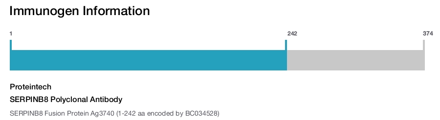 SERPINB8 Polyclonal Antibody