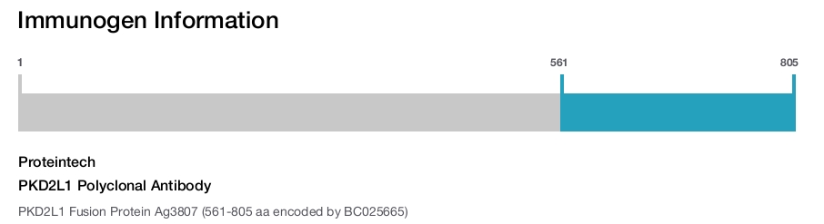 PKD2L1 Polyclonal Antibody