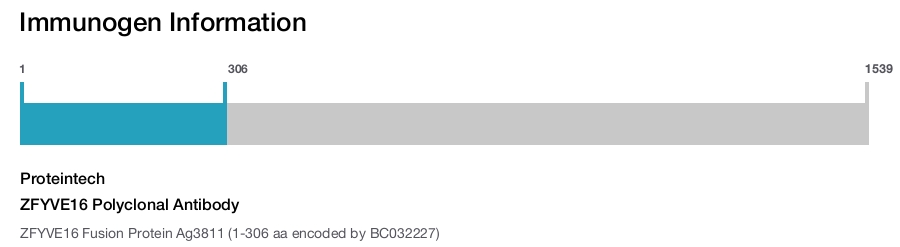 ZFYVE16 Polyclonal Antibody