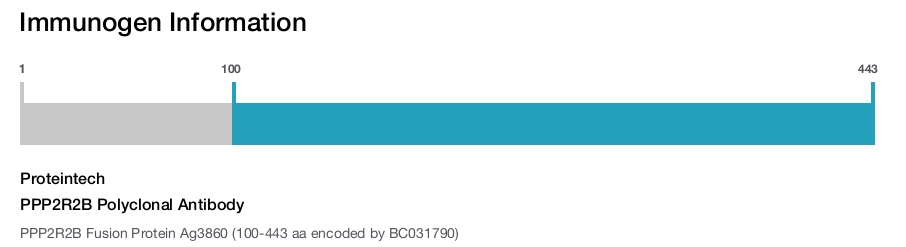 PPP2R2B Polyclonal Antibody