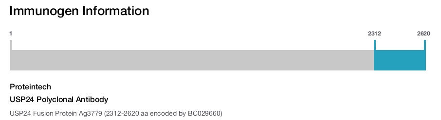 USP24 Polyclonal Antibody