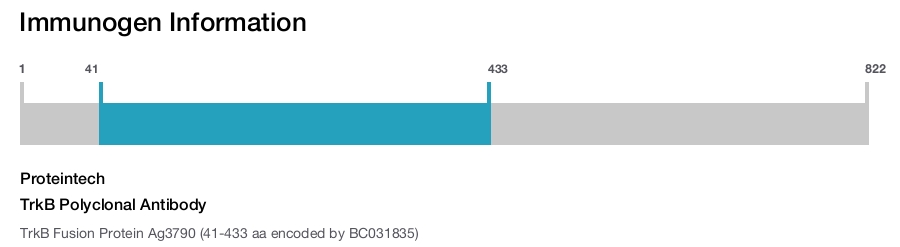 TrkB Polyclonal Antibody