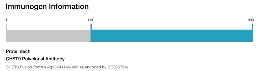 CHST9 Polyclonal Antibody
