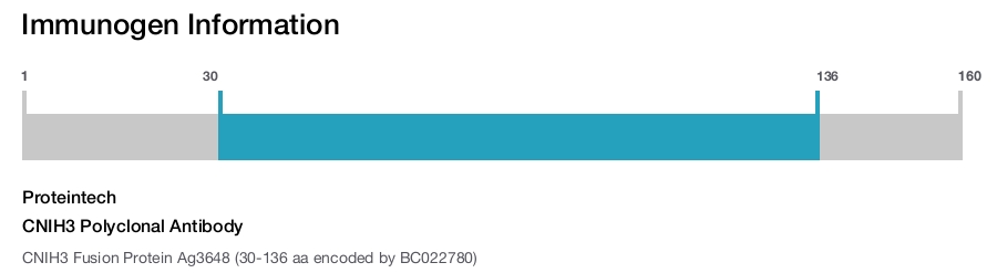 CNIH3 Polyclonal Antibody