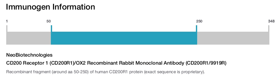 CD200 Receptor 1 (CD200R1)/OX2 Recombinant Rabbit Monoclonal Antibody (CD200R1/9919R)