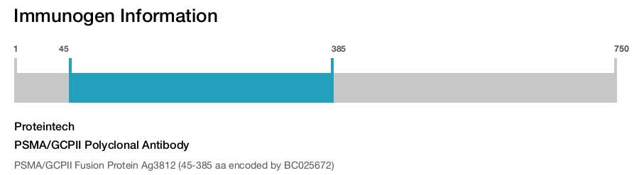 PSMA/GCPII Polyclonal Antibody