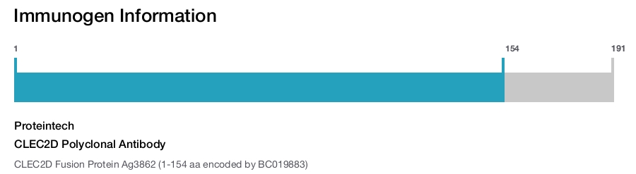 CLEC2D Polyclonal Antibody