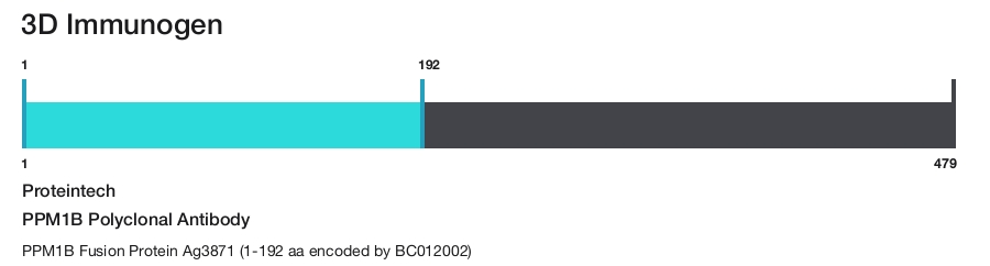 PPM1B Polyclonal Antibody