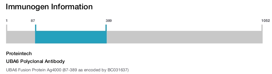 UBA6 Polyclonal Antibody