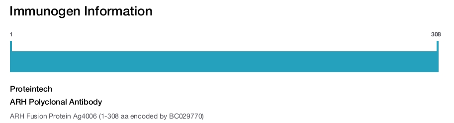 ARH Polyclonal Antibody