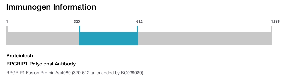 RPGRIP1 Polyclonal Antibody