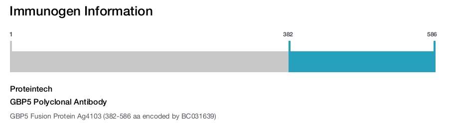 GBP5 Polyclonal Antibody