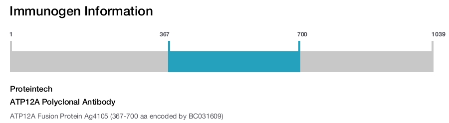 ATP12A Polyclonal Antibody