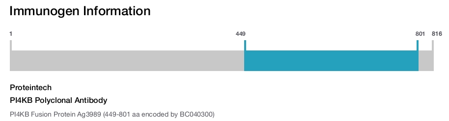 PI4KB Polyclonal Antibody