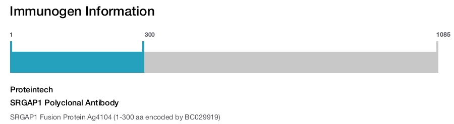 SRGAP1 Polyclonal Antibody