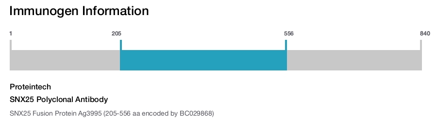SNX25 Polyclonal Antibody