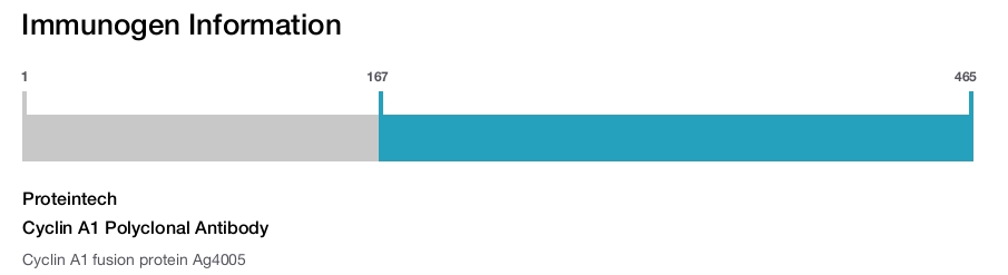 Cyclin A1 Polyclonal Antibody