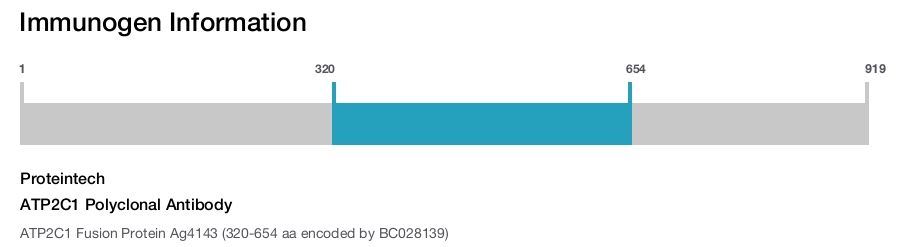ATP2C1 Polyclonal Antibody