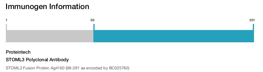 STOML3 Polyclonal Antibody