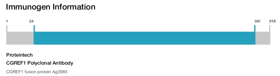CGREF1 Polyclonal Antibody