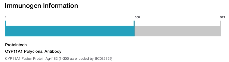 CYP11A1 Polyclonal Antibody