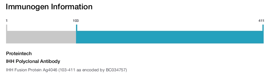IHH Polyclonal Antibody