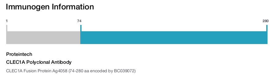 CLEC1A Polyclonal Antibody