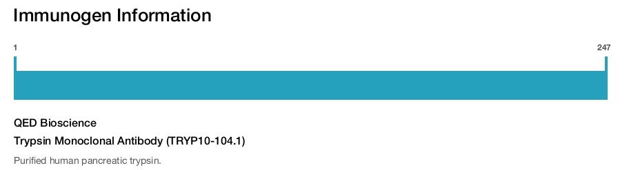 Trypsin Monoclonal Antibody (TRYP10-104.1)