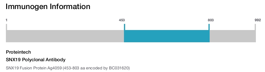 SNX19 Polyclonal Antibody