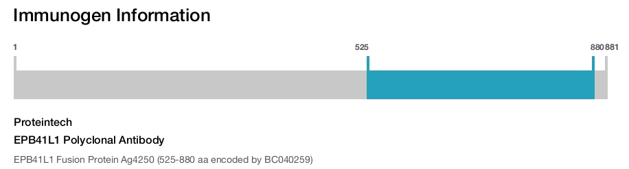 EPB41L1 Polyclonal Antibody