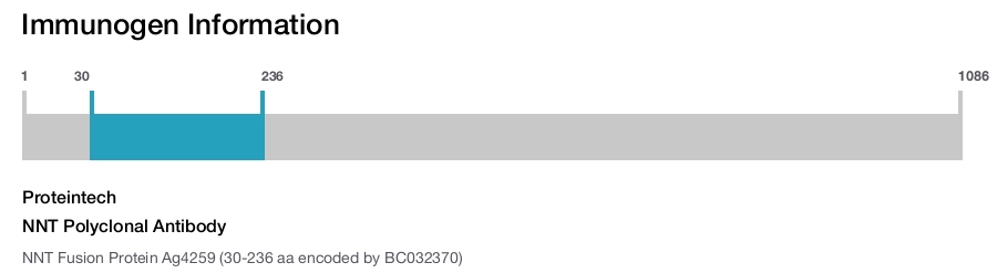 NNT Polyclonal Antibody