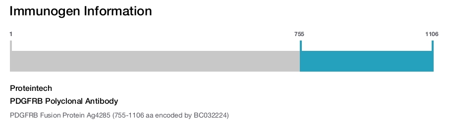 PDGFRB Polyclonal Antibody