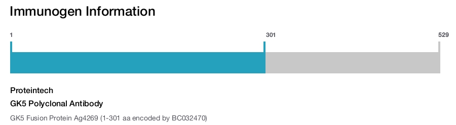 GK5 Polyclonal Antibody