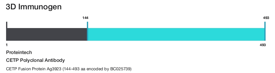 CETP Polyclonal Antibody