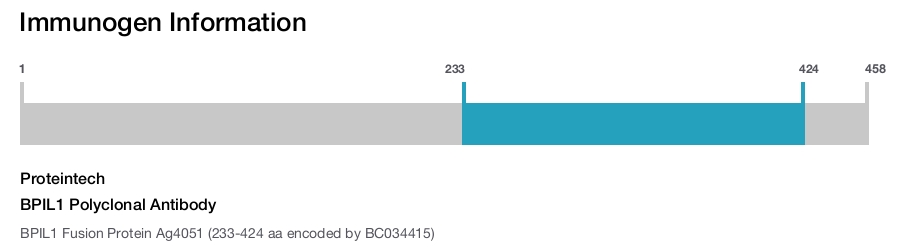BPIL1 Polyclonal Antibody