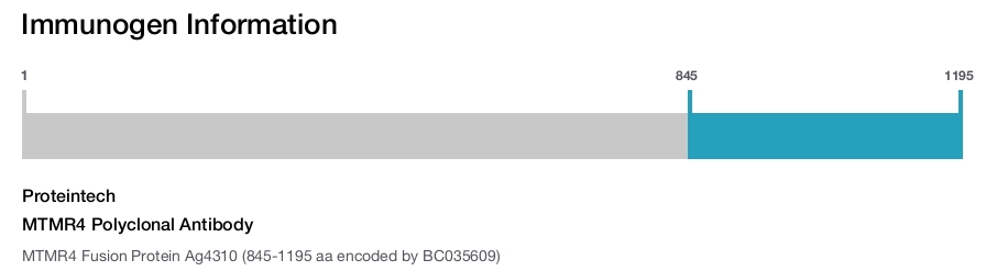 MTMR4 Polyclonal Antibody